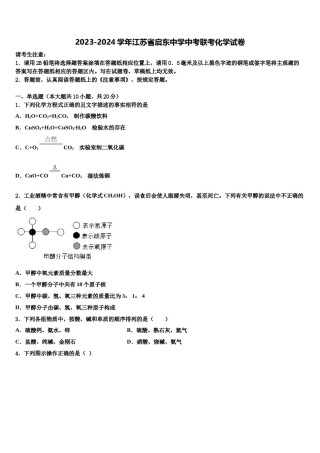 2023-2024学年江苏省启东中学中考联考化学试卷含解析.doc