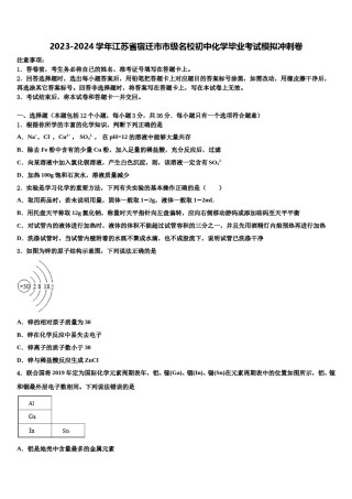 2023-2024学年江苏省宿迁市市级名校初中化学毕业考试模拟冲刺卷含解析.doc