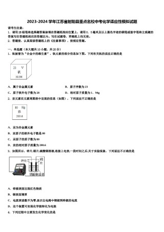 2023-2024学年江苏省射阳县重点名校中考化学适应性模拟试题含解析.doc