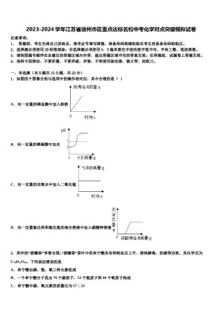2023-2024学年江苏省徐州市区重点达标名校中考化学对点突破模拟试卷含解析.doc