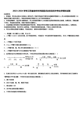 2023-2024学年江苏省徐州市沛县重点达标名校中考化学模拟试题含解析.doc