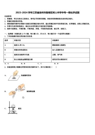2023-2024学年江苏省徐州市鼓楼区树人中学中考一模化学试题含解析.doc