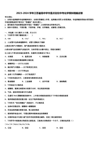 2023-2024学年江苏省扬中学市重点名校中考化学模拟精编试卷含解析.doc