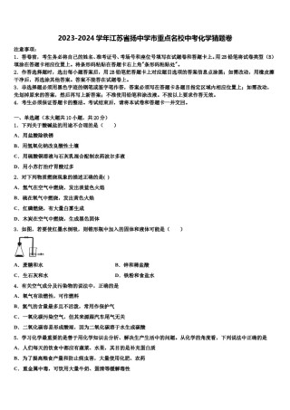 2023-2024学年江苏省扬中学市重点名校中考化学猜题卷含解析.doc