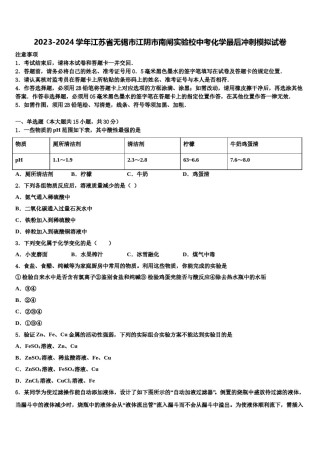 2023-2024学年江苏省无锡市江阴市南闸实验校中考化学最后冲刺模拟试卷含解析.doc