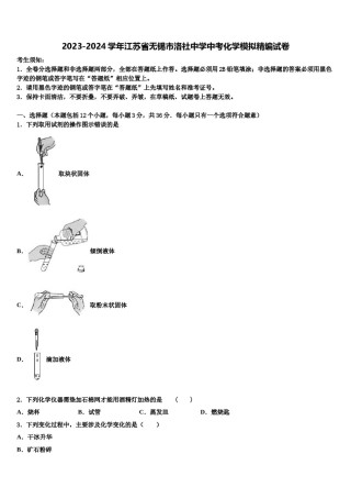 2023-2024学年江苏省无锡市洛社中学中考化学模拟精编试卷含解析.doc