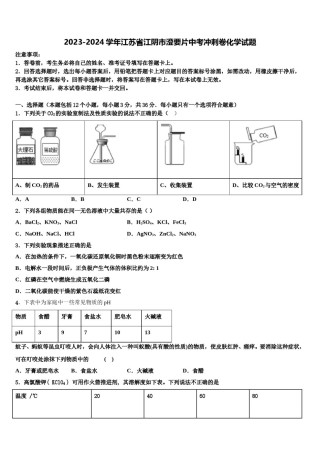 2023-2024学年江苏省江阴市澄要片中考冲刺卷化学试题含解析.doc