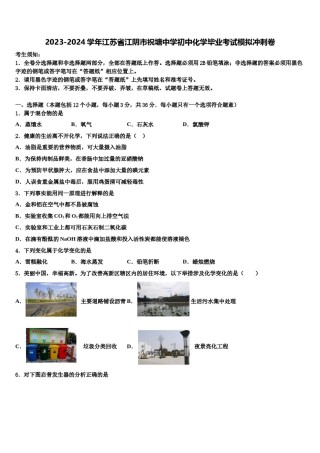 2023-2024学年江苏省江阴市祝塘中学初中化学毕业考试模拟冲刺卷含解析.doc