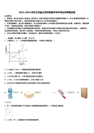 2023-2024学年江苏省江阴市要塞中学中考化学押题试卷含解析.doc