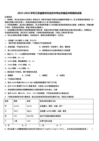 2023-2024学年江苏省泰州市名校中考化学最后冲刺模拟试卷含解析.doc