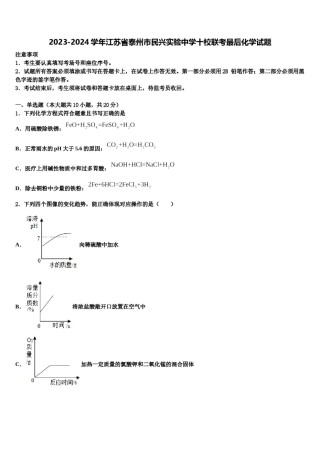 2023-2024学年江苏省泰州市民兴实验中学十校联考最后化学试题含解析.doc