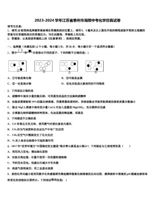 2023-2024学年江苏省泰州市海陵中考化学仿真试卷含解析.doc