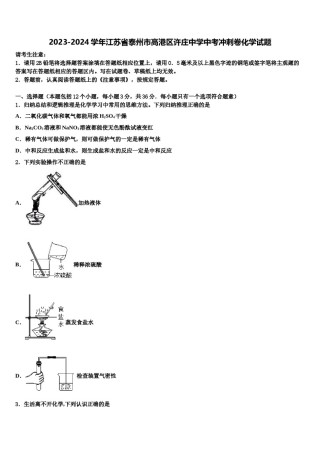 2023-2024学年江苏省泰州市高港区许庄中学中考冲刺卷化学试题含解析.doc