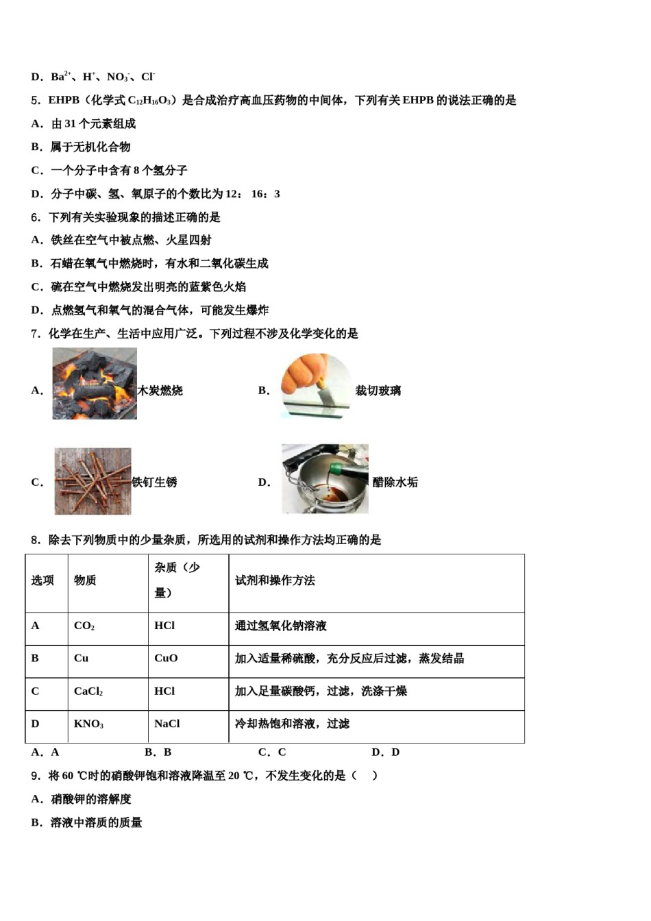 2023-2024学年江苏省洪泽县中考化学猜题卷含解析.doc_第2页