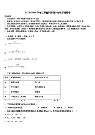2023-2024学年江苏省洪泽县中考化学猜题卷含解析.doc