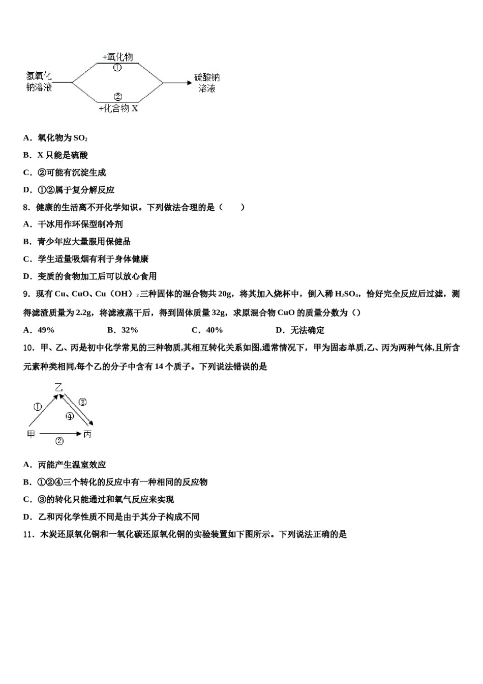 2023-2024学年江苏省海安县东片中考化学押题卷含解析.doc_第2页