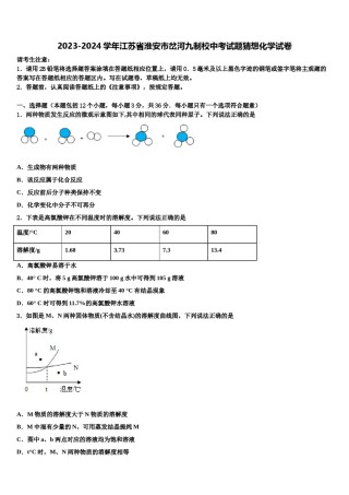 2023-2024学年江苏省淮安市岔河九制校中考试题猜想化学试卷含解析.doc