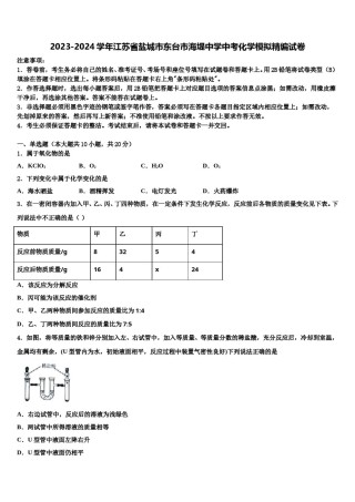 2023-2024学年江苏省盐城市东台市海堤中学中考化学模拟精编试卷含解析.doc