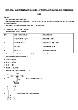 2023-2024学年江苏省盐城市东台市第一教育集团达标名校中考化学最后冲刺浓缩精华卷含解析.doc