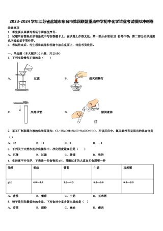 2023-2024学年江苏省盐城市东台市第四联盟重点中学初中化学毕业考试模拟冲刺卷含解析.doc