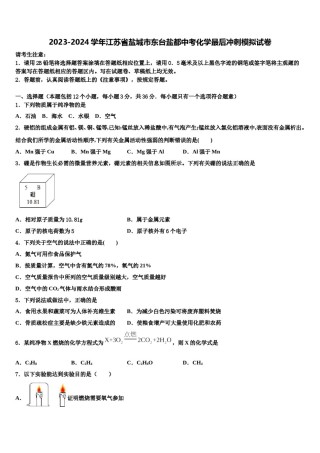 2023-2024学年江苏省盐城市东台盐都中考化学最后冲刺模拟试卷含解析.doc
