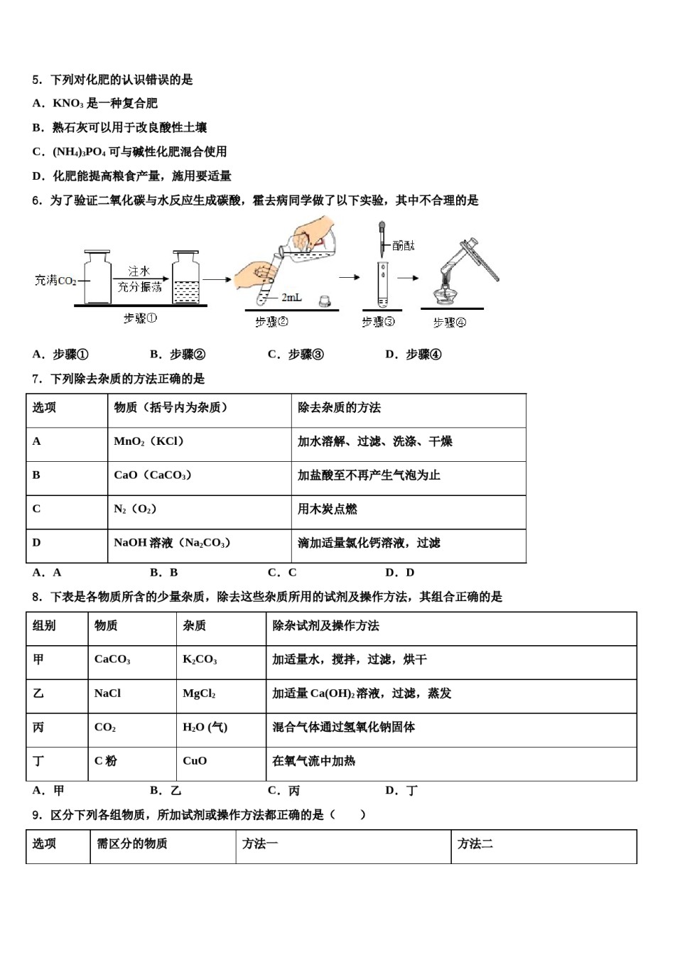 2023-2024学年江苏省盐城市南洋中学中考化学对点突破模拟试卷含解析.doc_第2页