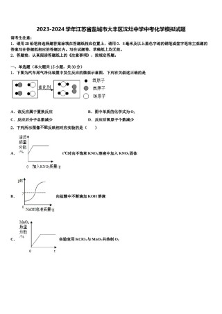 2023-2024学年江苏省盐城市大丰区沈灶中学中考化学模拟试题含解析.doc