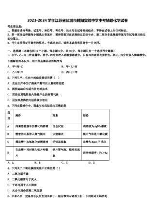 2023-2024学年江苏省盐城市射阳实验中学中考猜题化学试卷含解析.doc
