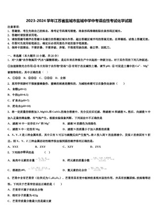 2023-2024学年江苏省盐城市盐城中学中考适应性考试化学试题含解析.doc