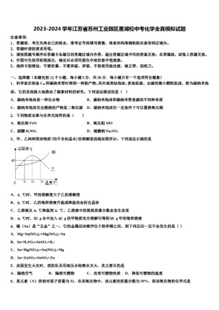 2023-2024学年江苏省苏州工业园区星湖校中考化学全真模拟试题含解析.doc