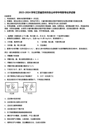 2023-2024学年江苏省苏州市东山中学中考联考化学试卷含解析.doc