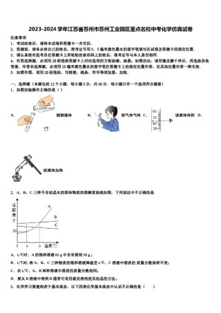 2023-2024学年江苏省苏州市苏州工业园区重点名校中考化学仿真试卷含解析.doc
