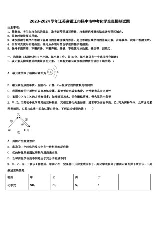 2023-2024学年江苏省镇江市扬中市中考化学全真模拟试题含解析.doc