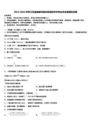 2023-2024学年江苏省高邮市阳光双语初中中考化学全真模拟试卷含解析.doc