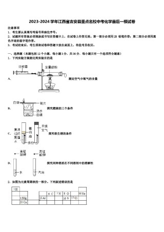 2023-2024学年江西省吉安县重点名校中考化学最后一模试卷含解析.doc