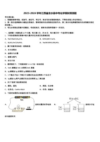 2023-2024学年江西省吉水县中考化学模拟预测题含解析.doc