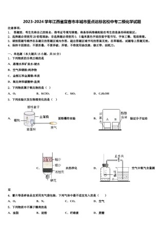 2023-2024学年江西省宜春市丰城市重点达标名校中考二模化学试题含解析.doc