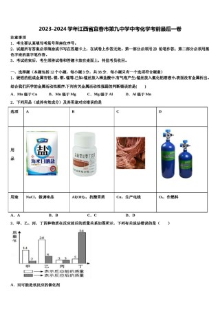 2023-2024学年江西省宜春市第九中学中考化学考前最后一卷含解析.doc