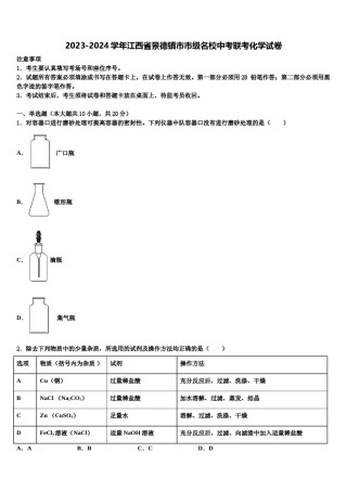 2023-2024学年江西省景德镇市市级名校中考联考化学试卷含解析.doc