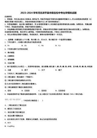 2023-2024学年河北滦平县市级名校中考化学模拟试题含解析.doc