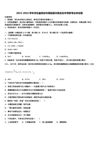 2023-2024学年河北省保定市高阳县市级名校中考联考化学试卷含解析.doc