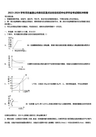 2023-2024学年河北省唐山市路北区重点达标名校初中化学毕业考试模拟冲刺卷含解析.doc