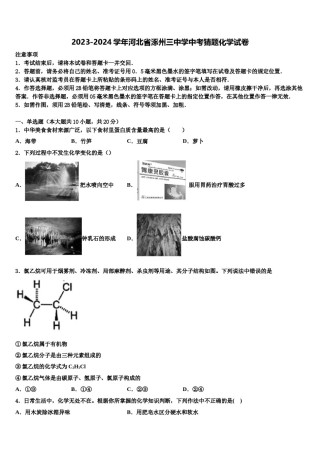2023-2024学年河北省涿州三中学中考猜题化学试卷含解析.doc