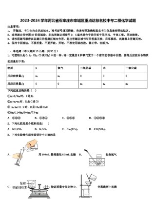 2023-2024学年河北省石家庄市栾城区重点达标名校中考二模化学试题含解析.doc