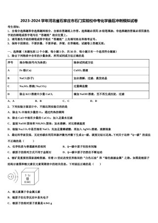 2023-2024学年河北省石家庄市石门实验校中考化学最后冲刺模拟试卷含解析.doc