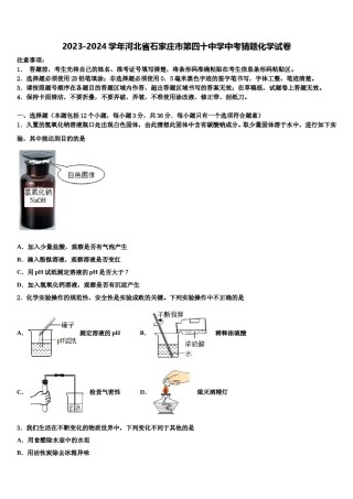 2023-2024学年河北省石家庄市第四十中学中考猜题化学试卷含解析.doc
