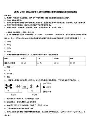 2023-2024学年河北省石家庄市裕华区中考化学最后冲刺模拟试卷含解析.doc