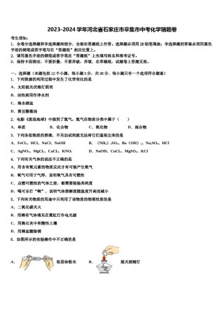 2023-2024学年河北省石家庄市辛集市中考化学猜题卷含解析.doc