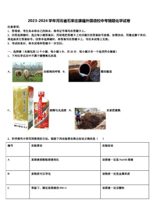 2023-2024学年河北省石家庄康福外国语校中考猜题化学试卷含解析.doc