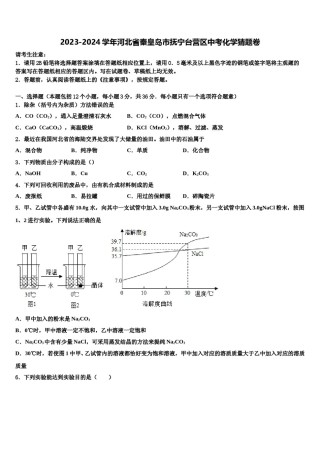 2023-2024学年河北省秦皇岛市抚宁台营区中考化学猜题卷含解析.doc